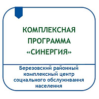КОМПЛЕКСНАЯ ПРОГРАММА СОЦИАЛЬНОЙ РЕАБИЛИТАЦИИ И АБИЛИТАЦИИ ДЕТЕЙ С ОСОБЕННОСТЯМИ РАЗВИТИЯ «СИНЕРГИЯ»