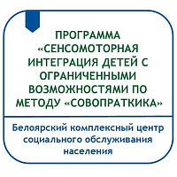 ПРОГРАММА «СЕНСОМОТОРНАЯ ИНТЕГРАЦИЯ ДЕТЕЙ С ОГРАНИЧЕННЫМИ ВОЗМОЖНОСТЯМИ ПО МЕТОДУ «СОВОПРАКТИКА»