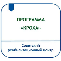 ПРОГРАММА ОРГАНИЗАЦИИ КОМПЛЕКСНОЙ ПОМОЩИ СЕМЬЯМ, ВОСПИТЫВАЮЩИМ ДЕТЕЙ РАННЕГО ВОЗРАСТА «КРОХА»
